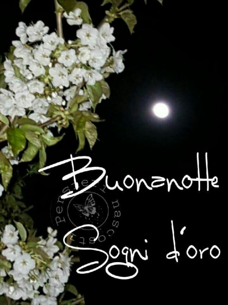 Buonanotte e Sogni d'Oro con i fiori