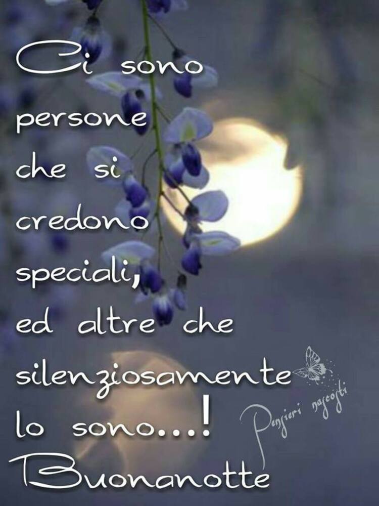 "Ci sono persone che si credono Speciali, ed altre che silenziosamente lo sono... ! Buonanotte"