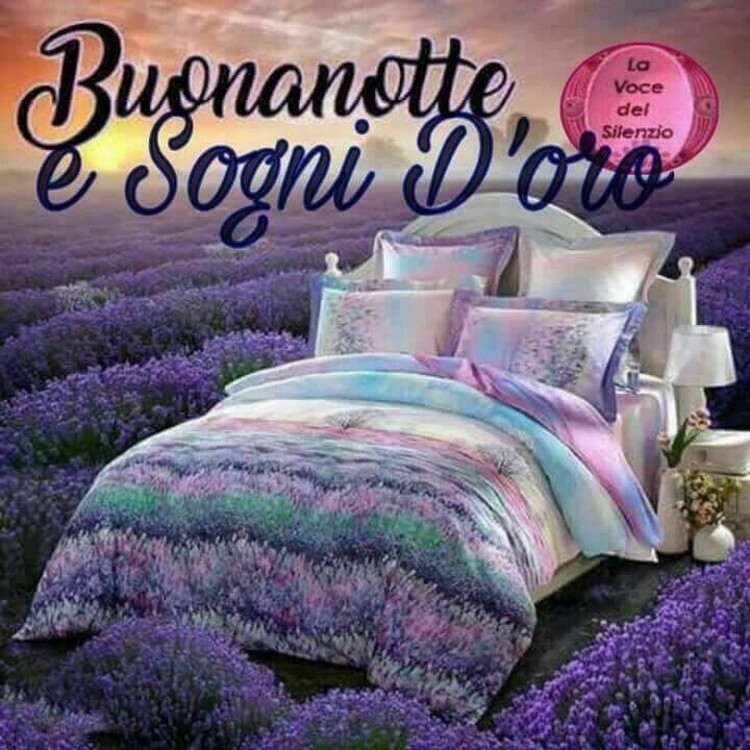 "Buonanotte primaverile" - immagini con i fiori di lavanda