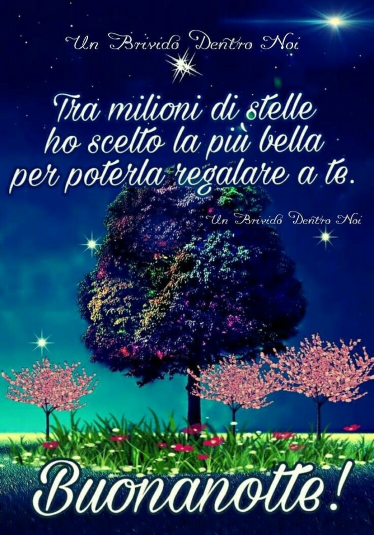 "Tra milioni di stelle ho scelto la più bella per poterla regalare a Te. Buonanotte!"