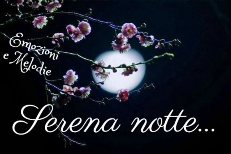 Buona Notte con i fiori di pesco