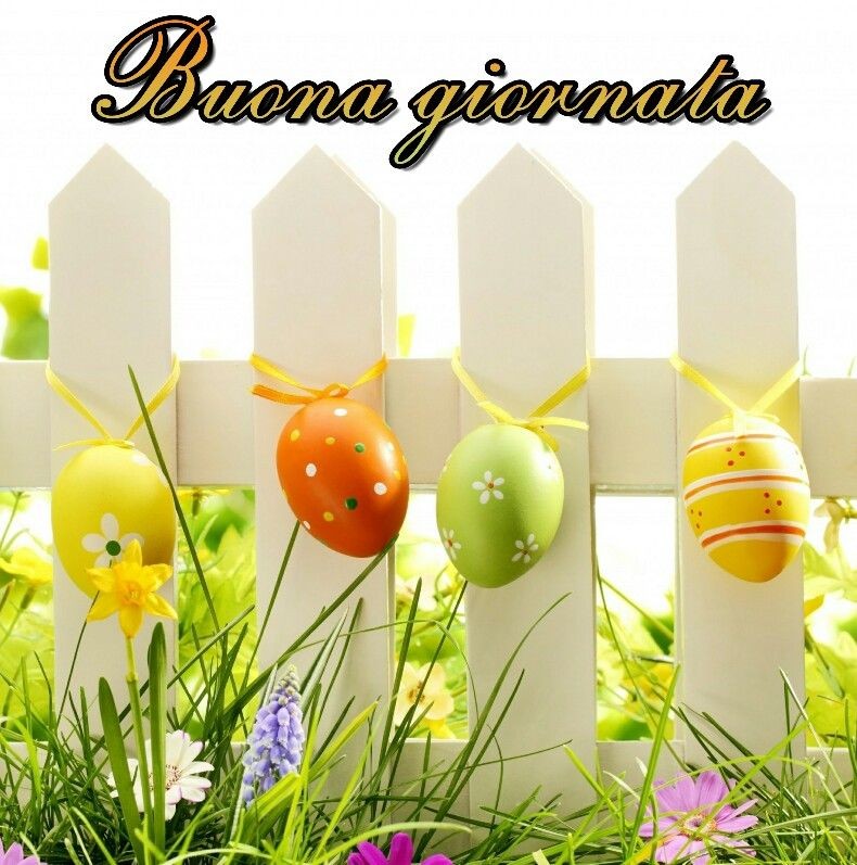 "Buona Giornata" - Pasqua