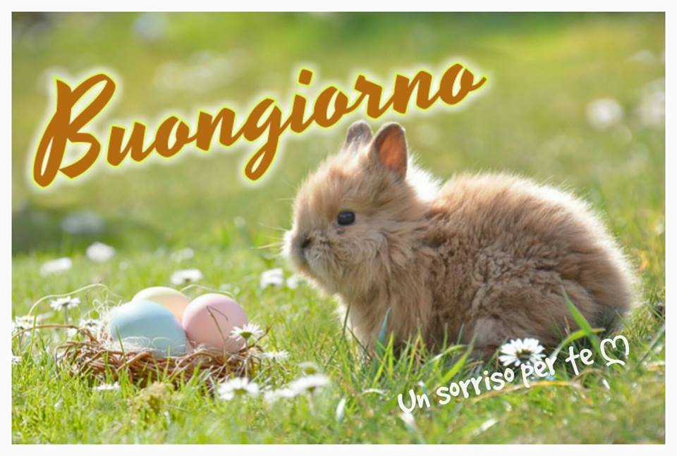 Un sorriso per te - "Buongiorno Pasqua"