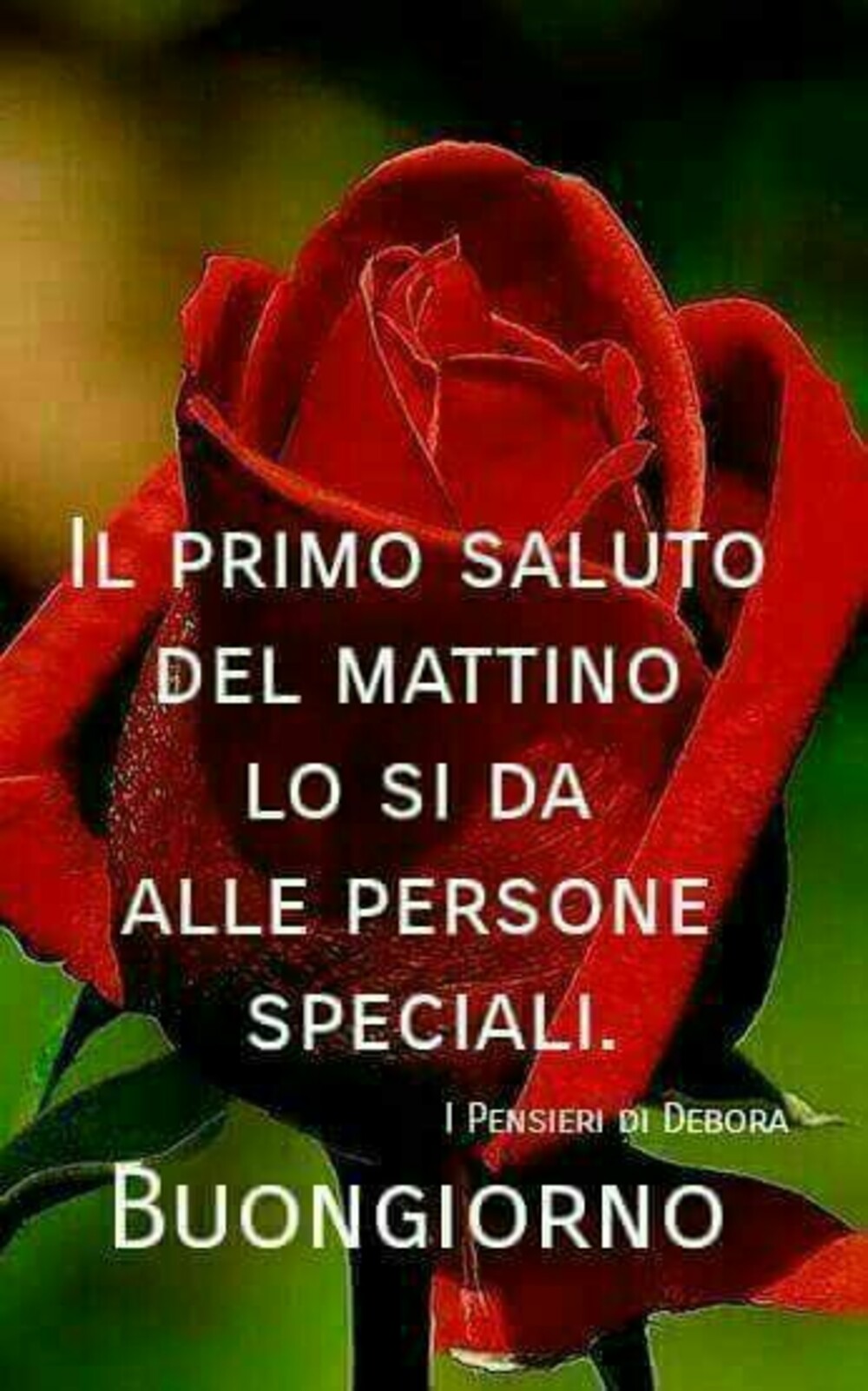 Buongiorno Speciale - "Il primo saluto del mattino lo si da alle Persone Speciali. Buongiorno"