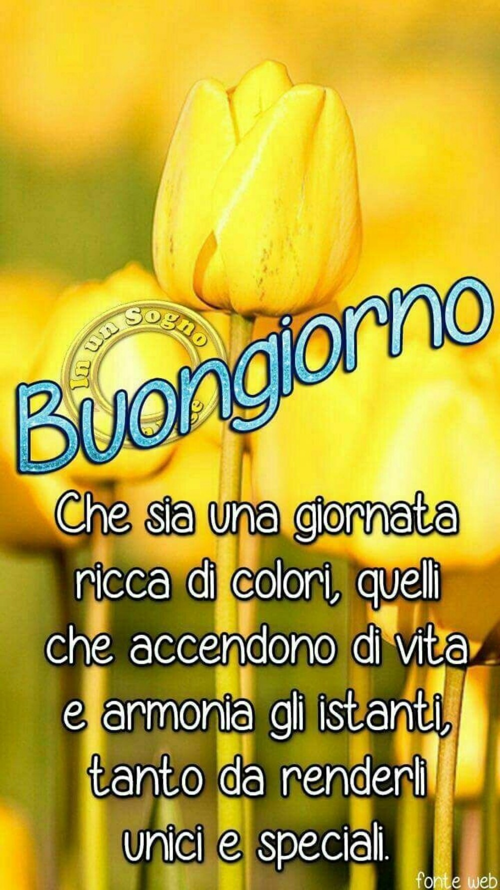 "Che sia una giornata ricca di colori, quelli che ti accendono di vita e armonia gli istanti, tanto da renderli unici e Speciali. Buongiorno"