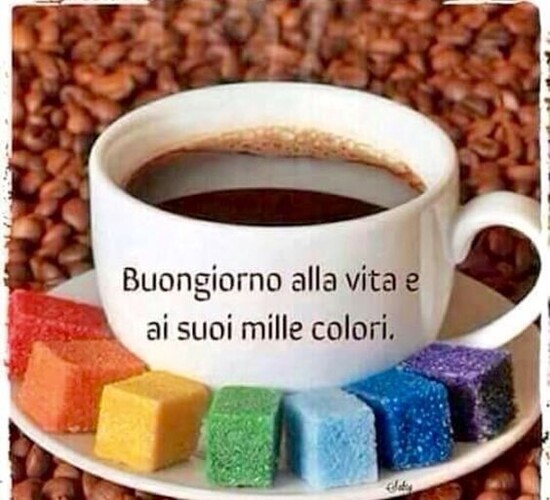 "Buona Giornata alla vita e ai suoi mille colori"