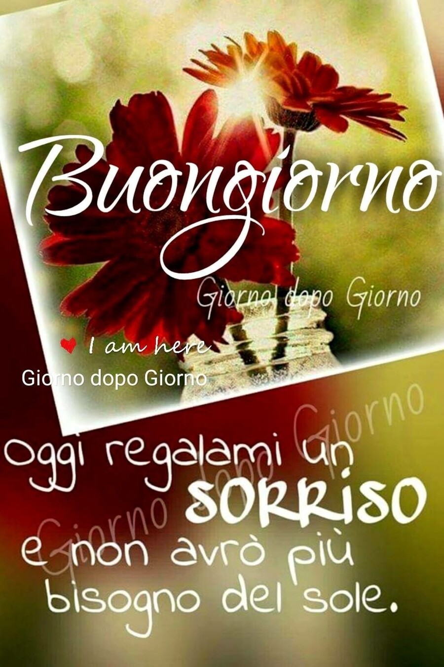 Buongiorno Col Sorriso 10 Link Per Iniziare La Giornata Al Meglio Bgiorno It