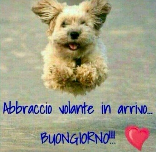 "Abbraccio volante in arrivo... BUONGIORNO !!!"