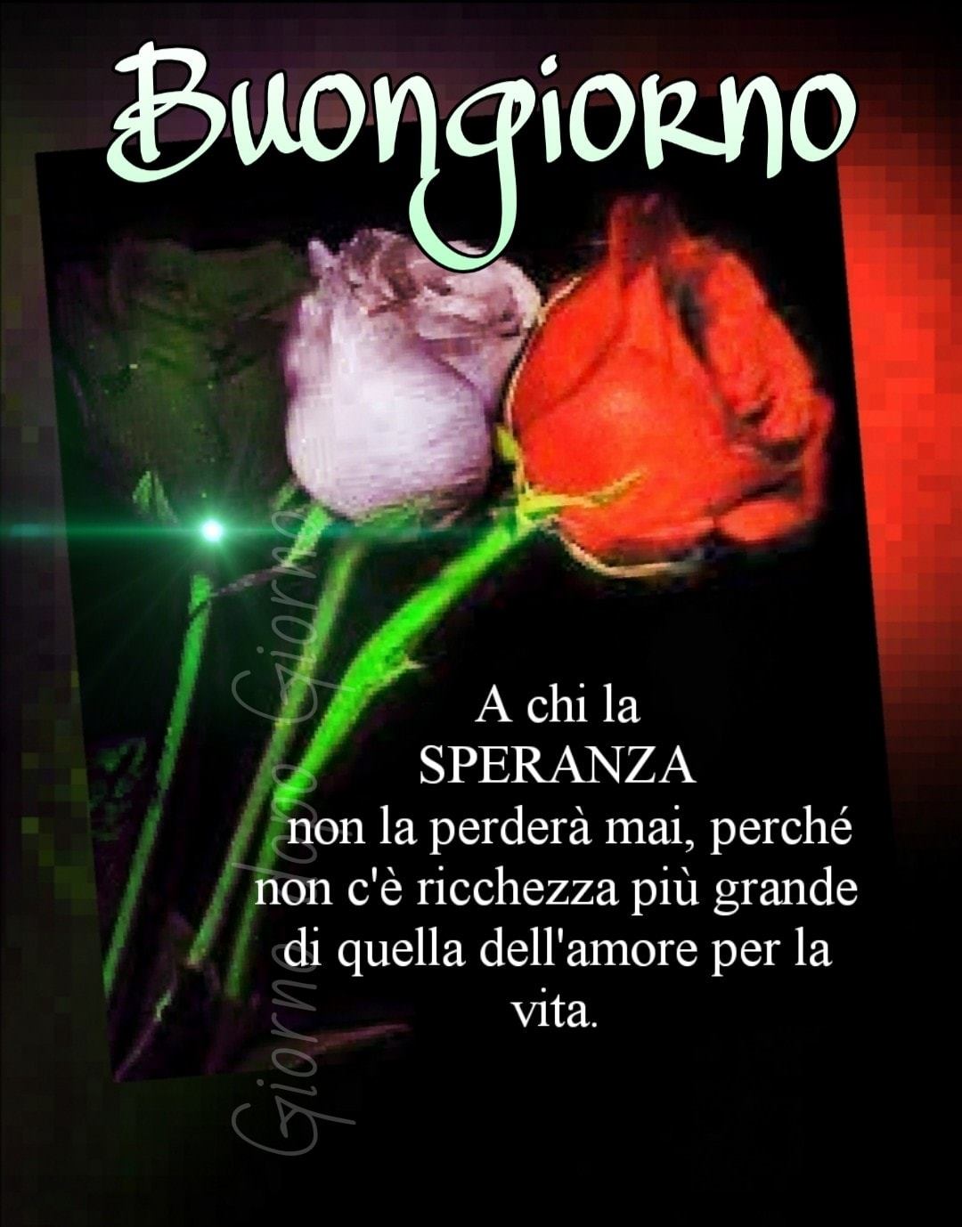 "Buon Giorno a chi la SPERANZA non la perderà mai perchè non c'è ricchezza più grande di quella dell'amore per la vita."