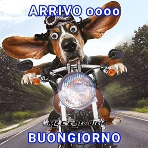 Buongiorno divertente - "ARRIVO... BUONGIORNO"