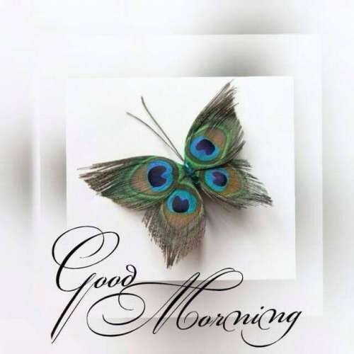 Bellissime immagini da condividere - "Good Morning"