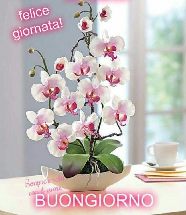 "Felice Giornata, Buongiorno primaverile"