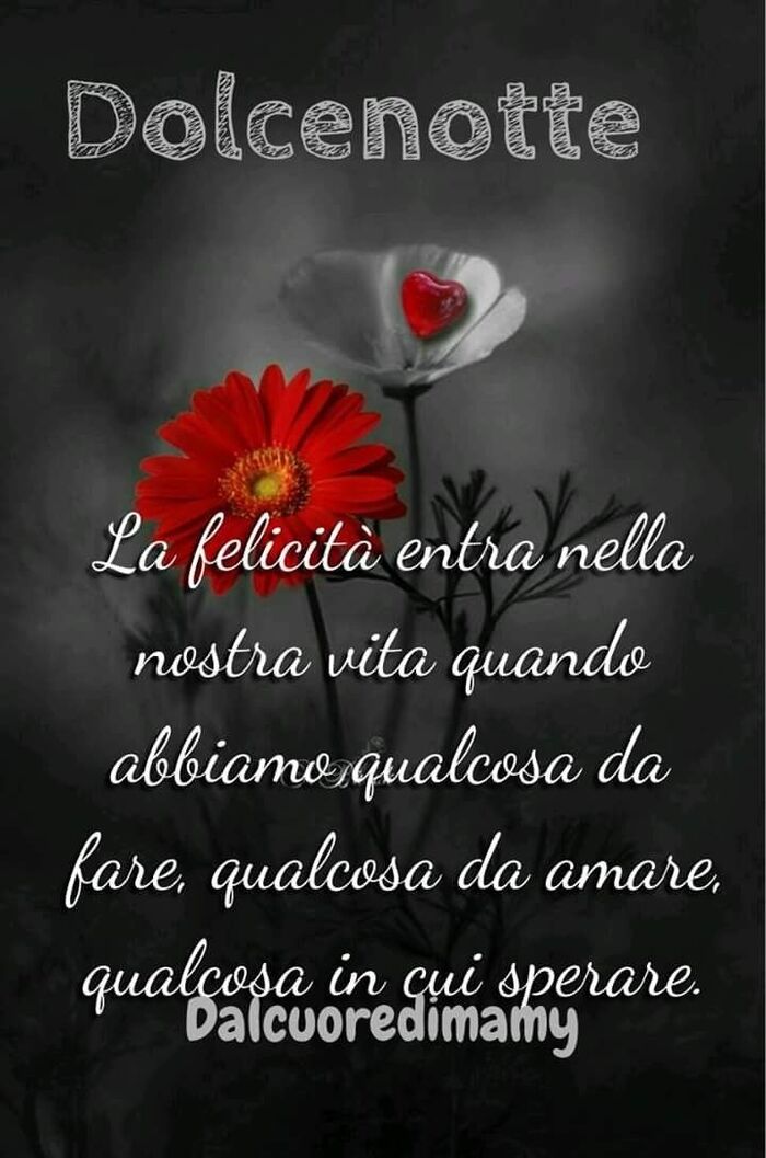 "La felicità entra nella nostra vita quando abbiamo qualcosa da fare, qualcosa da amare, e qualcosa in cui sperare. Buonanotte"