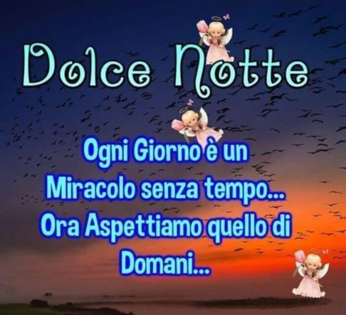 "Ogni giorno è un miracolo senza tempo... Ora aspettiamo quello di domani... Dolce Notte"