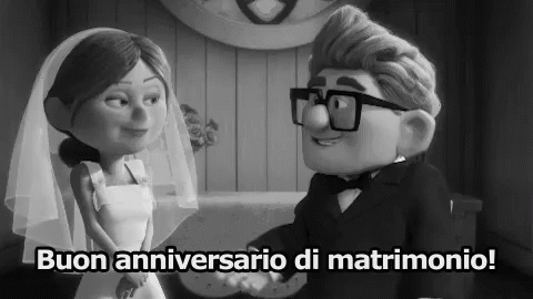 Disney Up - "Buon Anniversario di Matrimonio!"