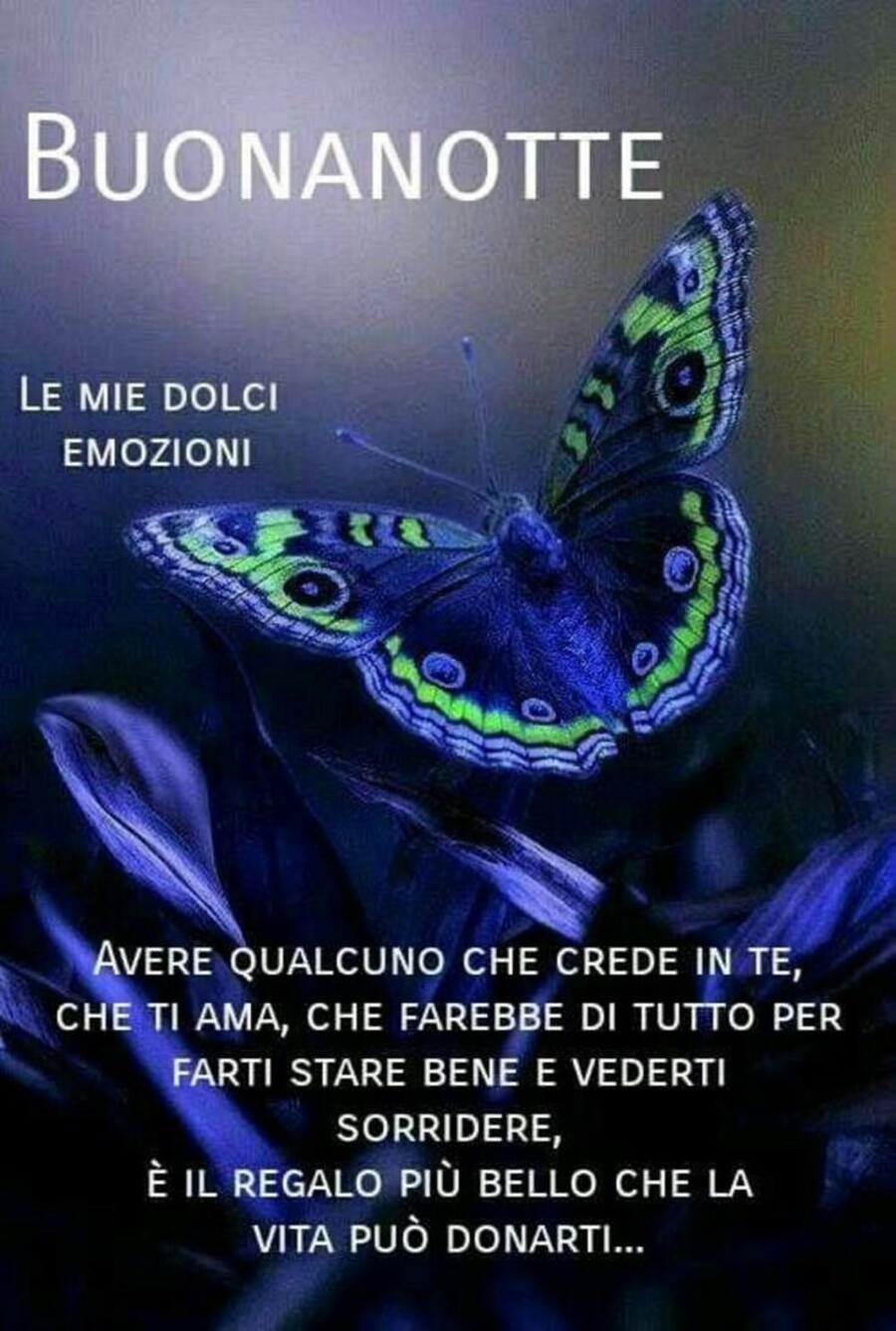 Frasi Buonanotte - "Buonanotte. Avere qualcuno che crede in te, che ti ami, che farebbe di tutto per farti stare bene e vederti sorridere, è il regalo più bello che la vita possa farti..."