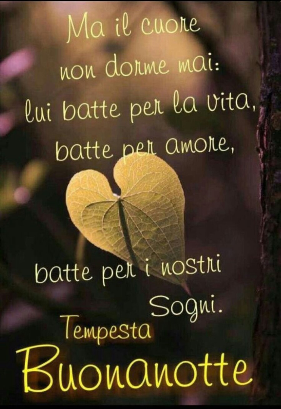 "Ma il Cuore non dorme mai: lui batte per la vita, batte per amore, batte per i nostri Sogni. Buonanotte"