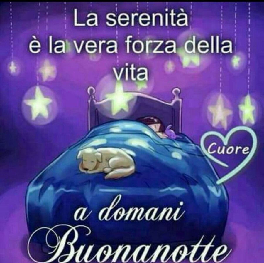 "La serenità è la vera forza della vita. Buonanotte" - le frasi più belle