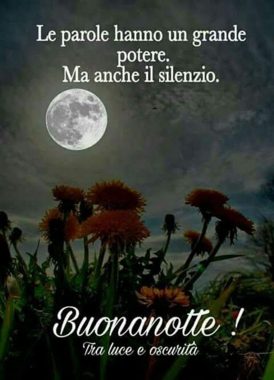 "Le parole hanno un grande potere. Ma anche il silenzio. Buonanotte!"