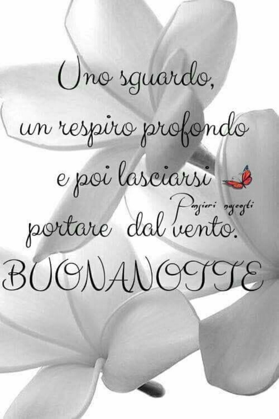 "Uno sguardo, un respiro profondo e poi lasciarsi portare dal vento. Sogni d'Oro e a Domani"