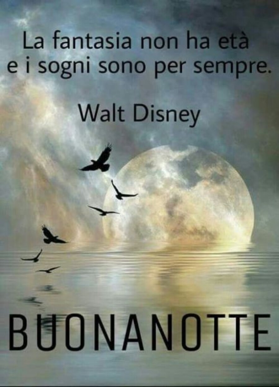 "La fantasia non ha età e i sogni sono per sempre. (Walt Disney)" - BUONANOTTE