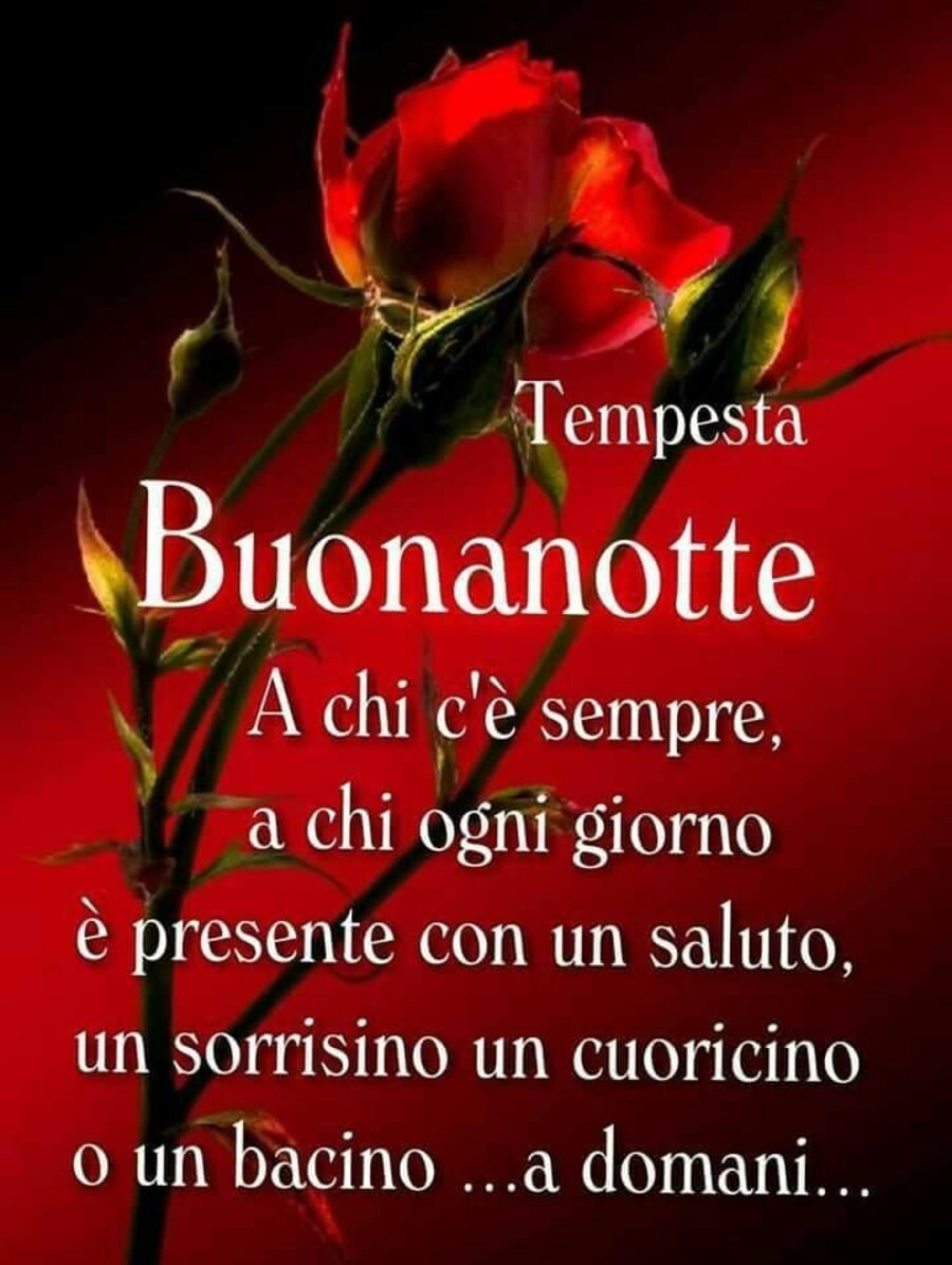 "Buonanotte a chi c'è sempre, a chi ogni giorno è presente con un saluto, un sorrisino, un cuoricino o un bacino... a Domani" - Tempesta