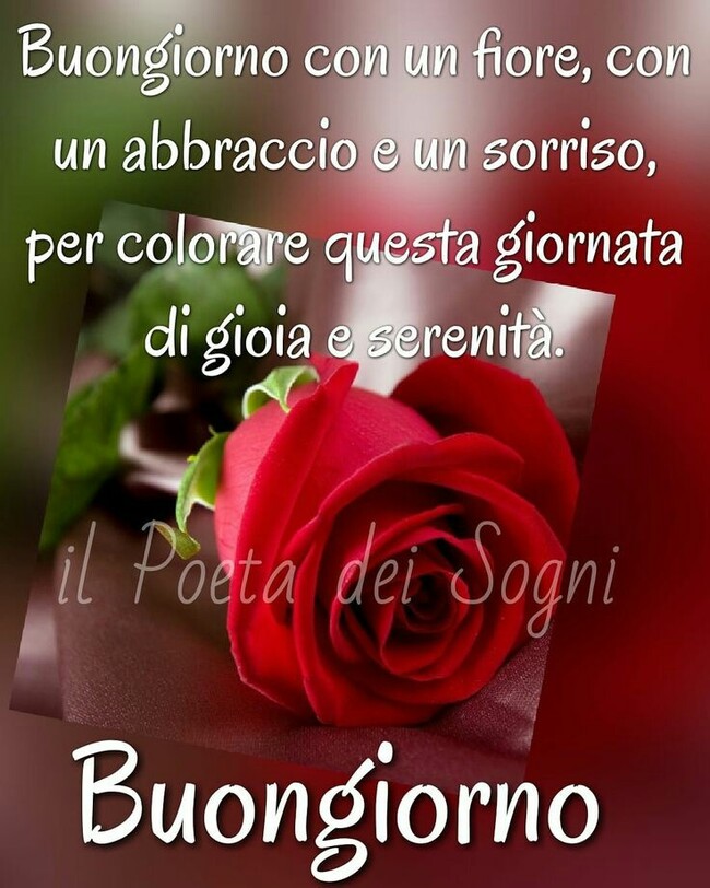 "Buongiorno con un fiore, con un abbraccio e un sorriso, per colorare questa giornata di gioia e serenità."