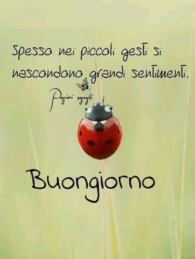 "Spesso nei piccoli gesti si nascondono grandi sentimenti. Buongiorno" - Frasi belle da condividere