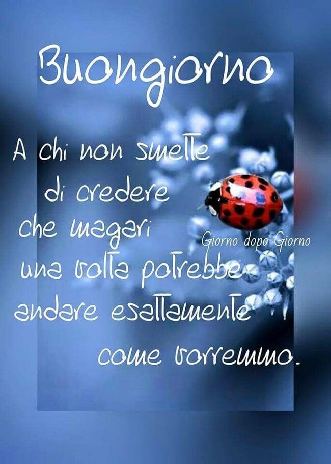 "Buongiorno a chi non smette di credere che magari una volta, potrebbe andare esattamente come vorremmo."