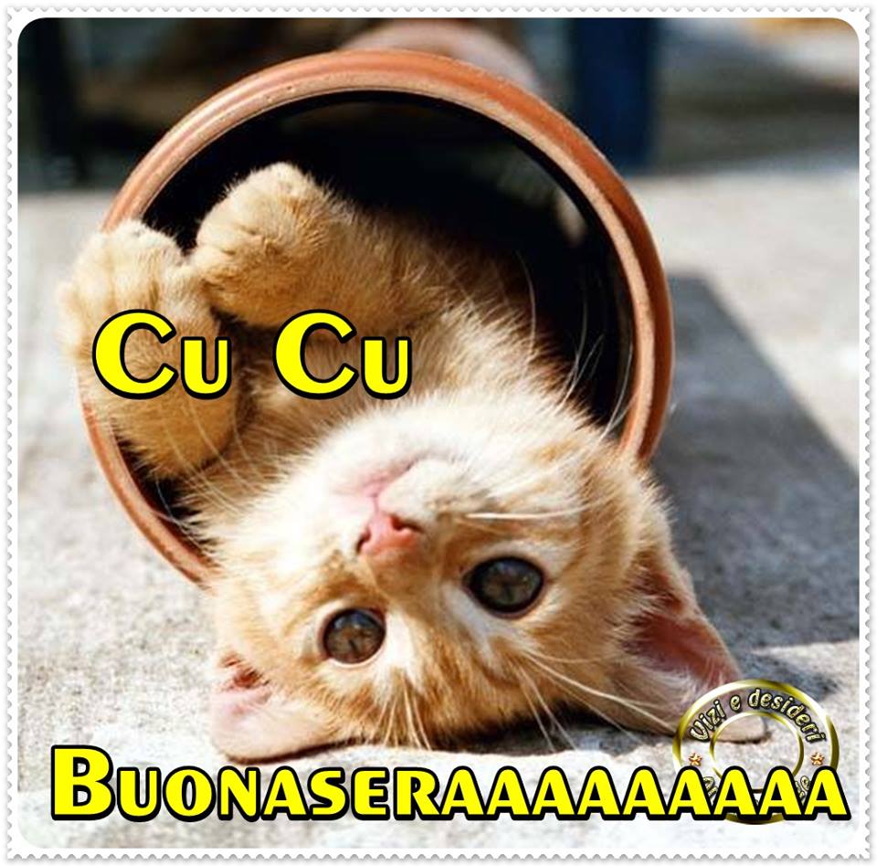 "Cucù BUONASERAAA"