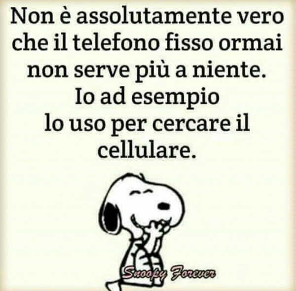 "Non è assolutamente vero che il telefono fisso oramai non serve più a niente. Io ad esempio lo uso per cercare il cellulare." - Snoopy Forever