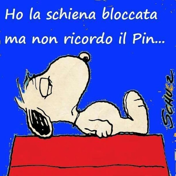 "Ho la schiena bloccata ma non ricordo il pin..."