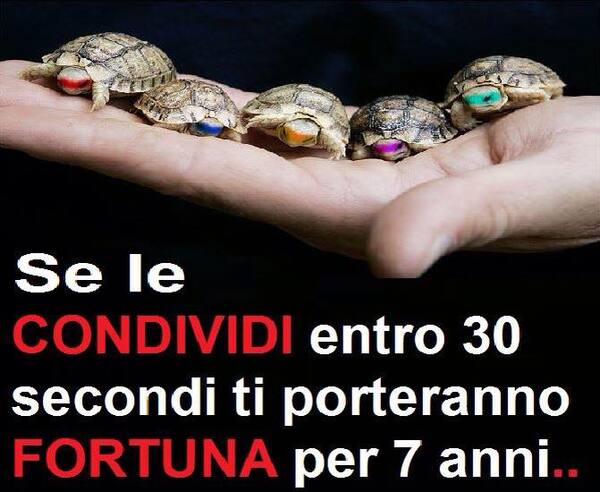 "Se le CONDIVIDI entro 30 secondi, ti porteranno FORTUNA per 7 anni..."