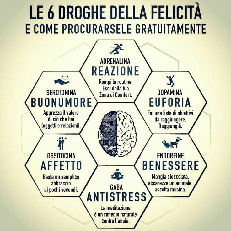 "I sei ingredienti della felicità e come procurarseli: Buonumore, Reazione, Euforia, Benessere, Antistress, Affetto....."