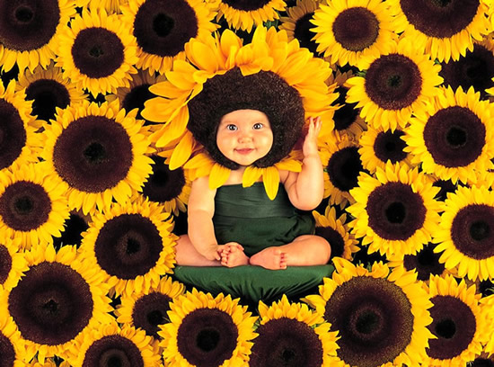 Foto di bambini - "Un bimbo tra i fiori di girasole"