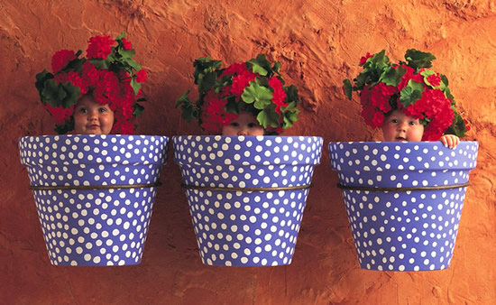 Tre bambini in tre vasi di fiori