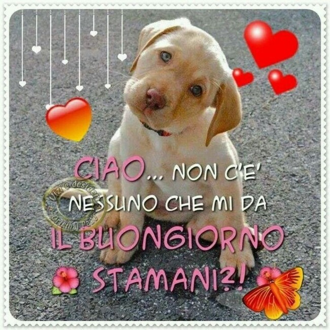 "Ciao! Non c'è nessuno che mi dà il Buongiorno stamani ?!"