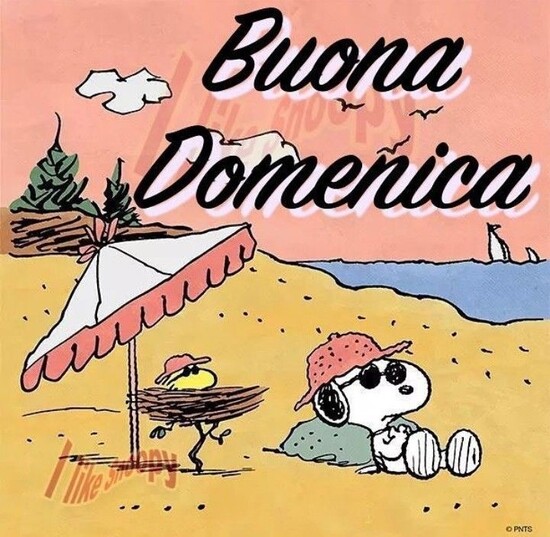 Vignette della Buona Domenica col simpatico Snoopy