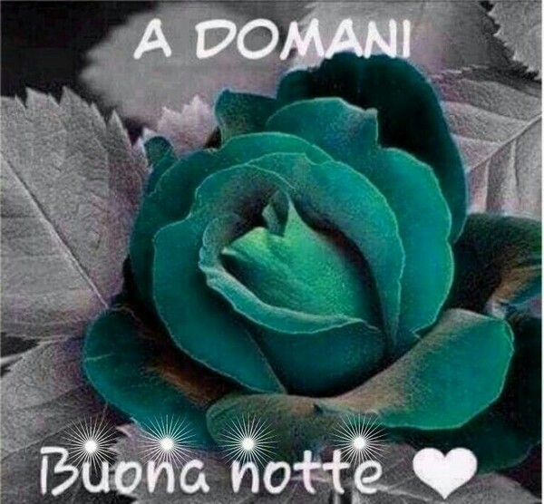 Immagini della Buona Notte con le rose