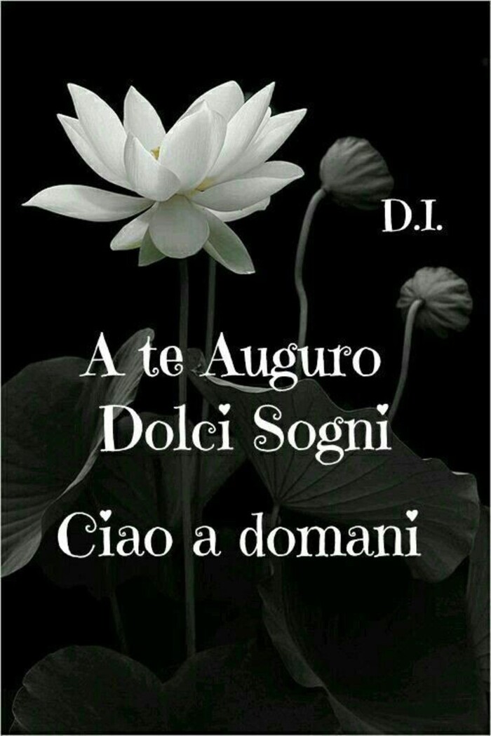 "A Te auguro Dolci Sogni, Ciao a Domani"