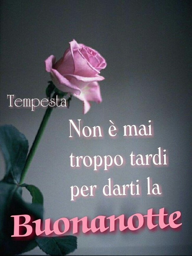 "Non è mai troppo tardi per darti la Buona Notte" - Tempesta