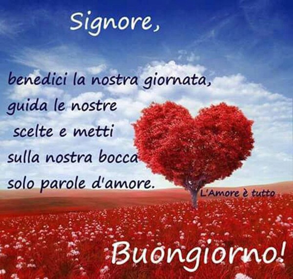 Buongiorno religioso - "Signore, benedici la nostra giornata, guida le nostre scelte, e metti sulla nostra bocca solo parole d'amore."