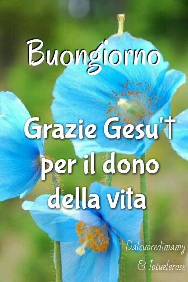 Buongiorno religioso - "Grazie Gesù per il dono della Vita."