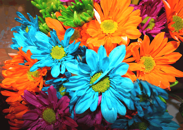 Una composizione di fiori colorati