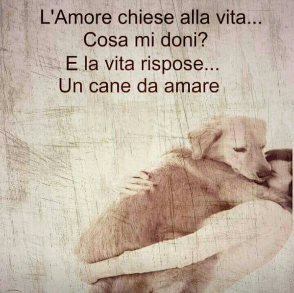 "L'amore chiese alla vita... Cosa mi doni? E la vita rispose... Un cane da amare..."