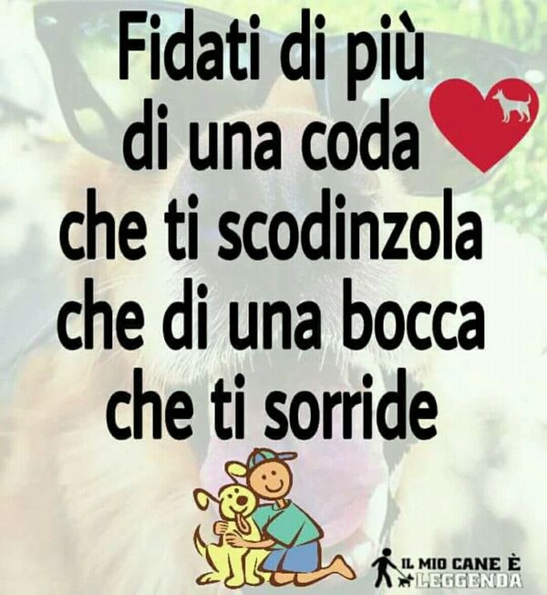 "Fidati di più di una coda che scodinzola che di una bocca che ti sorride." - Frasi belle sui cani