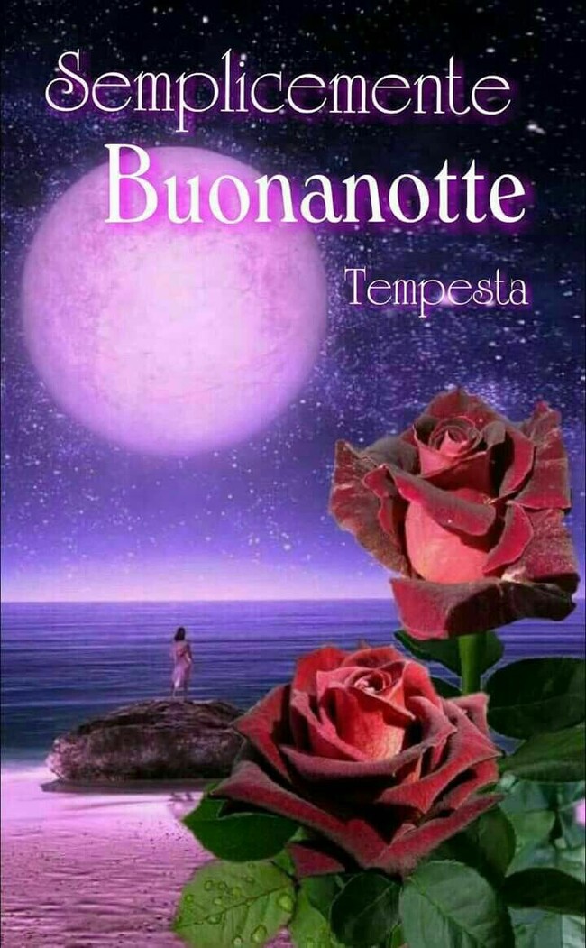 Semplicemente Buonanotte Immagini Bellissime Per Facebook Bgiorno It