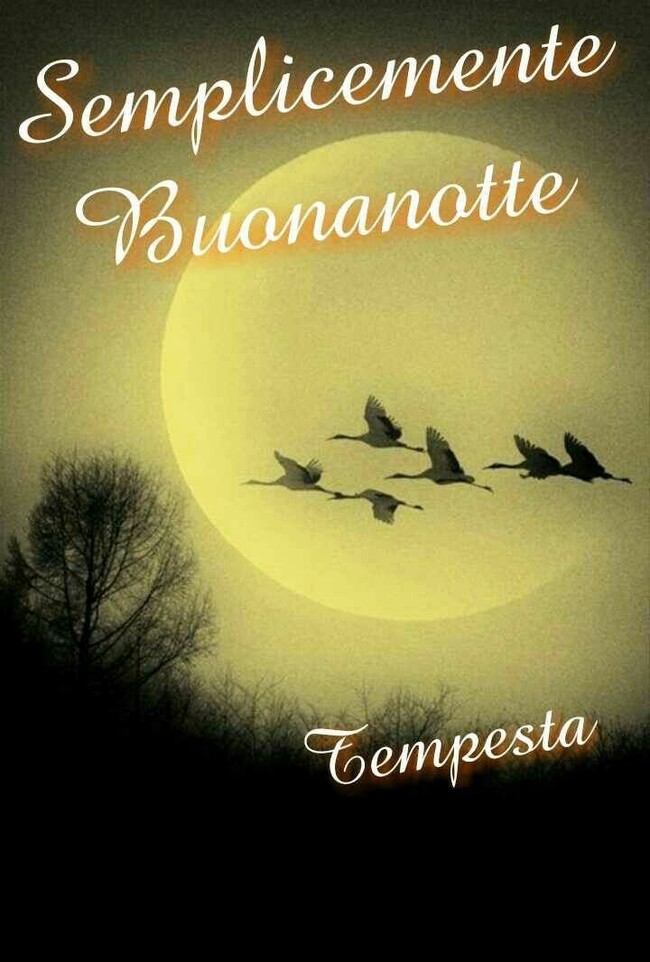 Semplicemente Buonanotte Immagini Bellissime Per Facebook Bgiorno It