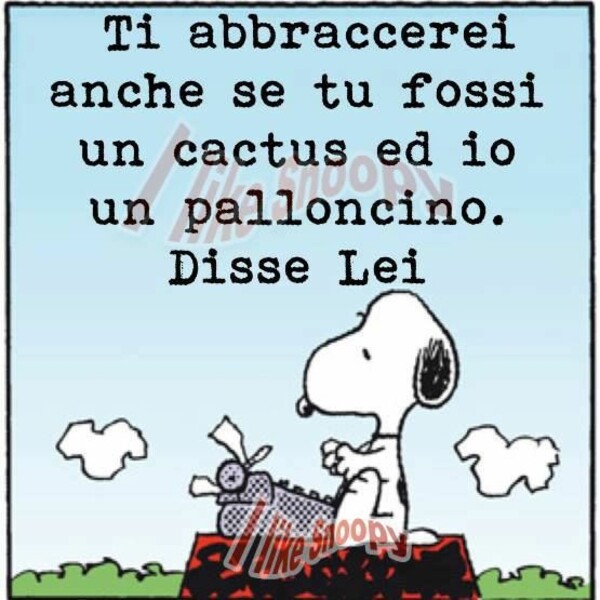 "Ti abbraccerei anche se tu fossi un cactus ed io un palloncino. Disse Lei."