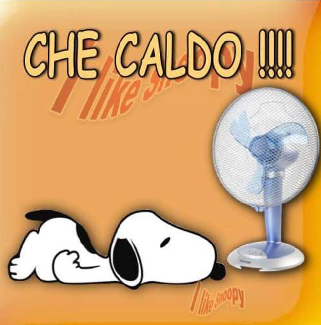 "Che Caldo che Fa !!!" - Snoopy